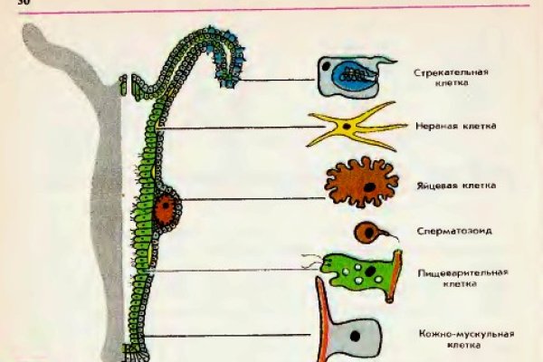 Кракен сайт что будет если зайти