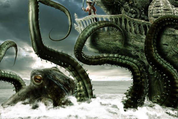 Kraken рынок