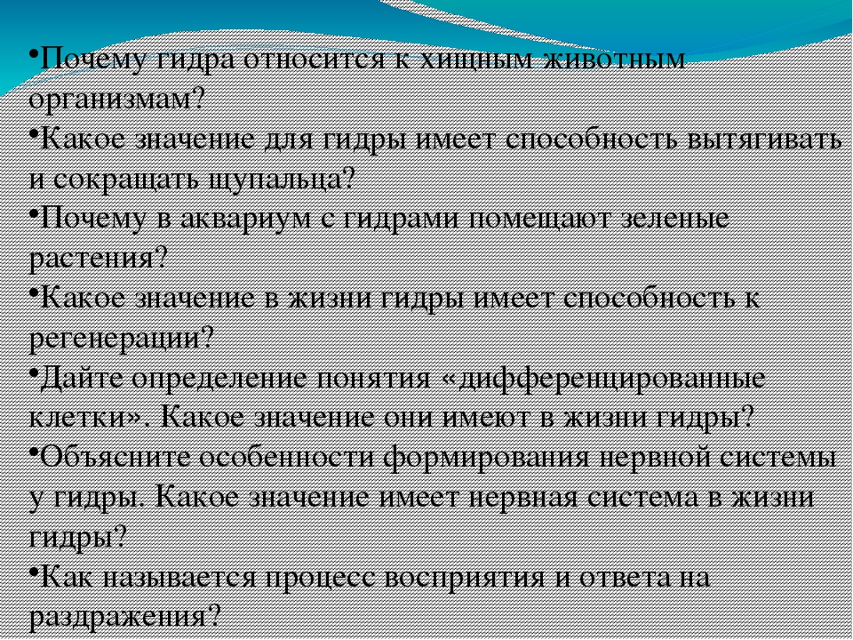 Kraken ссылка актуальная москва